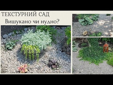 Видео: Що таке текстурний сад  і як я його створюю #textureinthegarden #garden