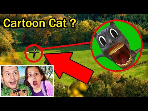 Видео: КТО СИЛЬНЕЕ? КАРТУН КЭТ ИЛИ КАРТУН ДОГ?