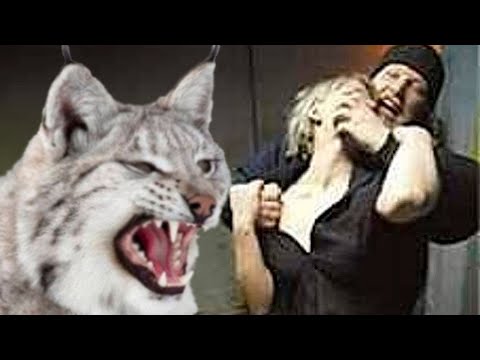 Видео: Выродок напал на беззащитную девушку, не зная о том,  кто встанет на её защиту