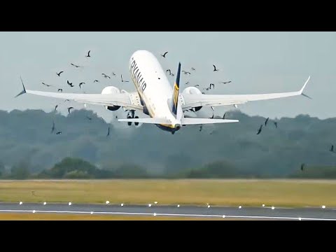 Видео: Взлет Ryanair пошел не так