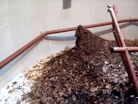 Видео: Биогаз. Биогазогенератор для обогрева дома #2.  BIOGAZ.