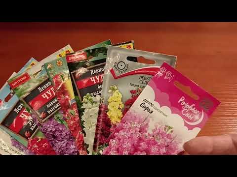 Видео: Цветы для букетов .