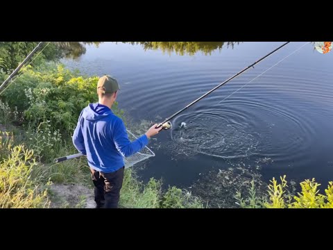 Видео: #толстолобик в жару. Уникальная одночасовая #рыбалка при +35 на маринованый огурец #технопланктон