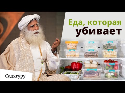 Видео: Как питание влияет на наше восприятие и энергию