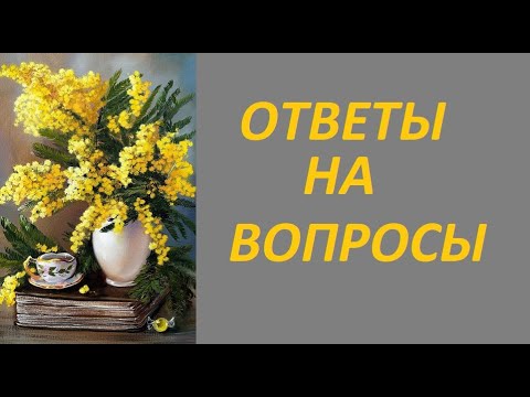 Видео: ОТВЕТЫ НА ВОПРОСЫ