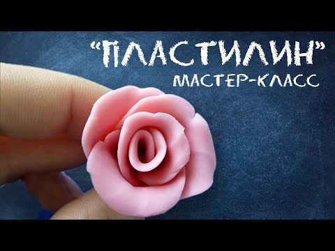 Видео: Лепим из пластилина | Мастер-класс Биоквантум