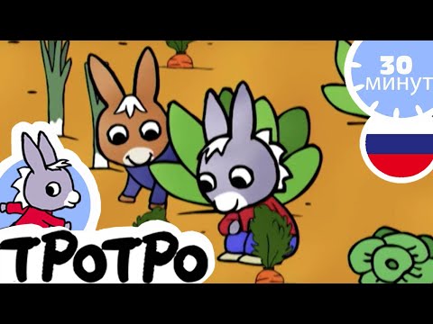 Видео: ТРОТРО - 🌽🌽Тротро ищет клад - Сборка #20
