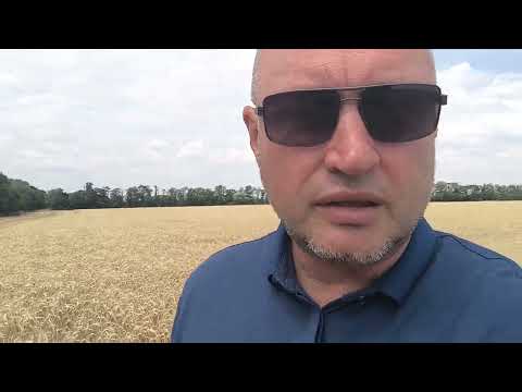 Видео: 25 июля 2025 г.