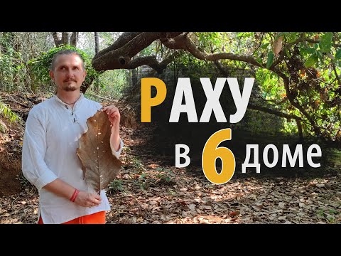 Видео: РАХУ в 6 ШЕСТОМ доме | Дмитрий Пономарев