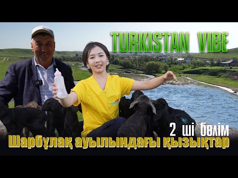 Видео: Түркістан vibe | Шарбұлақ ауылындағы қызықтар | 2-бөлім