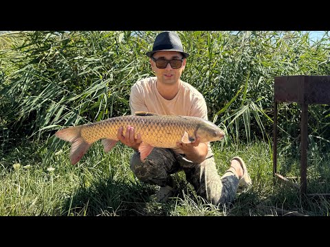 Видео: Поймали АМУРА! НЕреально повезло!!!