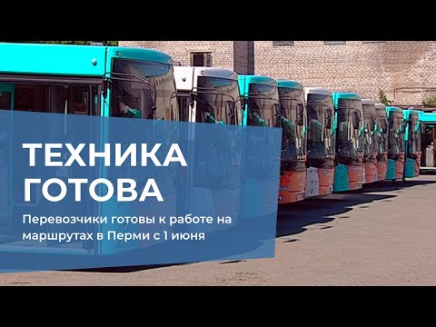 Видео: Перевозчики готовы к работе на маршрутах в Перми с 1 июня