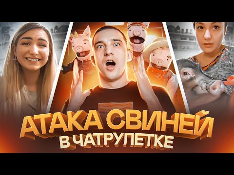 Видео: ДЕНЬ СВИНЬИ В ЧАТРУЛЕТКЕ | ГОЛОС ВАСИ