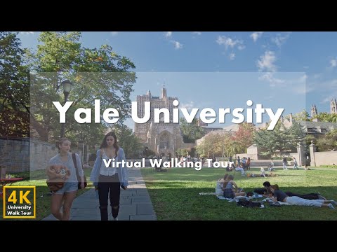 Видео: Йельский университет (Yale University) - Часть 1 - Виртуальная пешеходная экскурсия [4k 60fps]