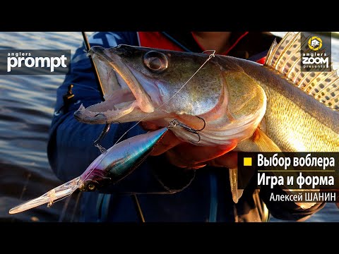 Видео: Выбор воблера. Игра и форма. Алексей Шанин. Anglers Prompt