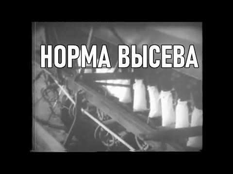 Видео: Норма высева