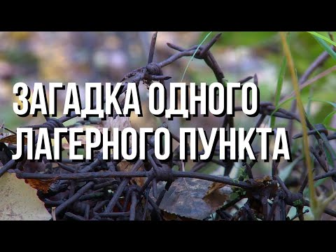 Видео: "Странная логика ГУЛАГа": лагпункт посреди бескрайнего леса - построенный и брошенный
