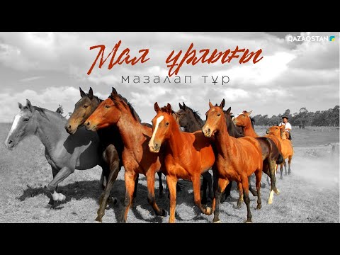 Видео: «Мал ұрлығы мазалап тұр». Деректі фильм