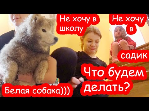 Видео: VLOG Даша не хочет в школу, а Алиса в садик