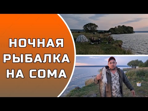 Видео: НОЧНАЯ РЫБАЛКА НА СОМА