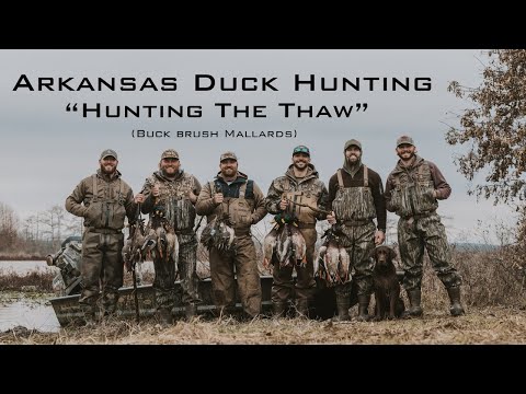 Видео: Охота на крякв во время оттепели в Арканзасе!! (Охота в Слау) K Zone TV: «Январская оттепель»