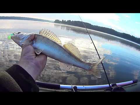 Видео: Ух Ты Какой Хороший Су...., ЩУКА!!!))) Рыбалка на Подмосковном водохранилище в Июле
