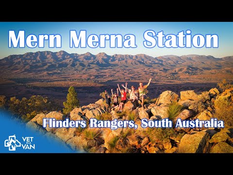 Видео: Кемпинг в лесу на станции Мерн-Мерна | Флиндерс-Рейнджес, Южная Австралия