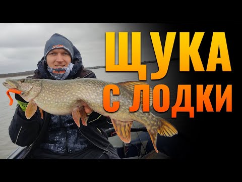 Видео: Трофейная щука с лодки