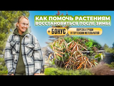 Видео: Как помочь растениям восстановиться после зимы