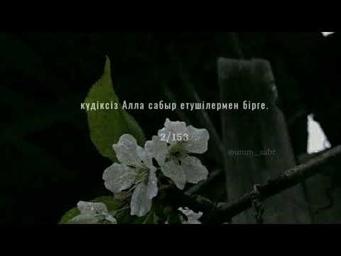 Видео: Сабыр,Сабр,صبر