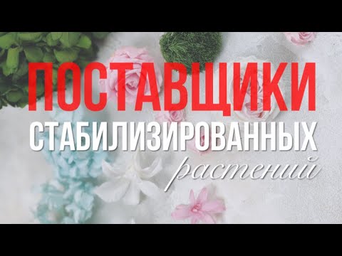 Видео: Поставщики стабилизированных растений | Часть 1 | Где не покупать цветы и где покупать