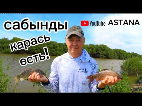 Видео: Летняя рыбалка. На донки давно так не рыбачил на реке Нура. River fishing Kazakhstan