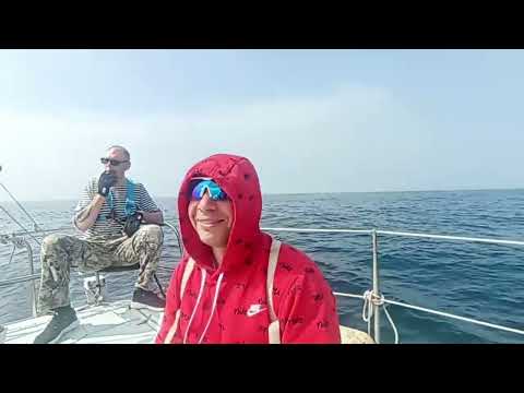 Видео: Яхтинг на Сахалине. Эпизод 1. Тренировочный выход и обзор яхты Nissan 30