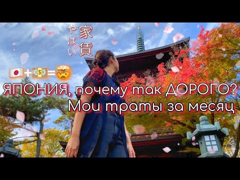 Видео: Сколько стоит жизнь в Японии? Цены / жилье / еда /страховка / мобильная связь