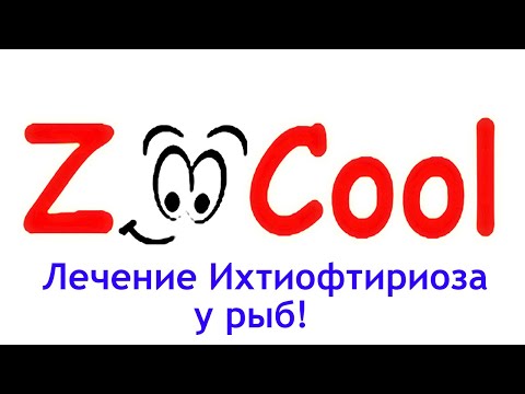 Видео: Причины появления и лечение манки у рыб , базис для новичков.