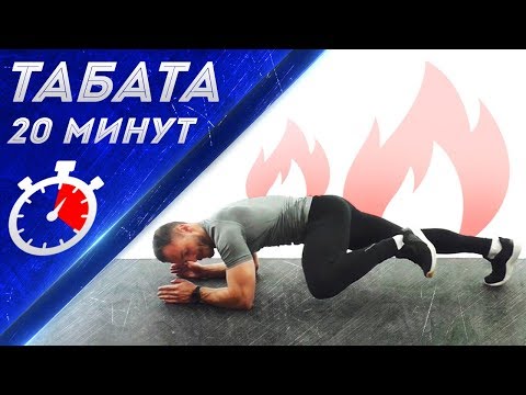 Видео: Тренировка на ВЫНОСЛИВОСТЬ. Табата.