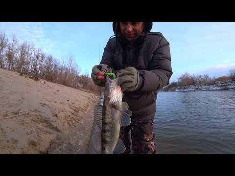 Видео: Ахтуба. Береговой джиг в декабре. Не все так плохо.