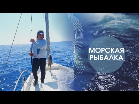 Видео: Морская рыбалка | Средиземное море | Северный Кипр
