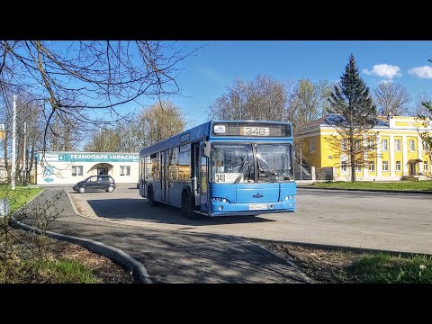 Видео: Автобус, маршрут №348 МАЗ-103.465 б.102 (14.05.2022) Ломоносов/Петергоф