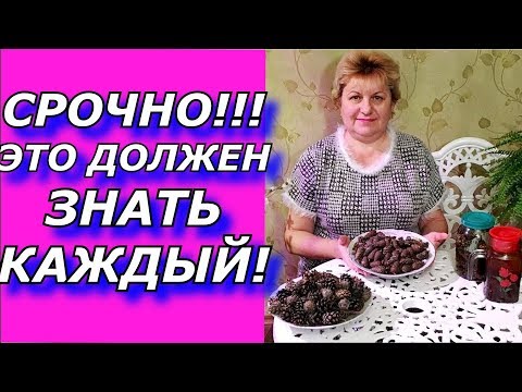 Видео: СОСНОВЫЕ ШИШКИ ! Инсульт. Профилактика!!!ФАНТАСТИЧЕСКИЙ РЕЦЕПТ - ВСЕГДА ПОД РУКОЙ!!!.