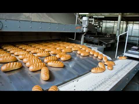 Видео: Познавательная беседа  для детей "Хлеб всему голова"