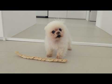 Видео: Простые в приготовлении жевательные игрушки из сыромятной кожи!