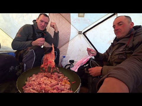 Видео: НАКОРМИЛ БЛОГЕРОВ КИШКАМИ!!! ВНИМАНИЕ!!! ЗА СТОЛОМ НЕ СМОТРЕТЬ!!! Рыбалка на первом льду!