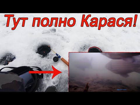 Видео: Тут Полно Карася!  Рыбалка  на поплавок,  Ловля зимой