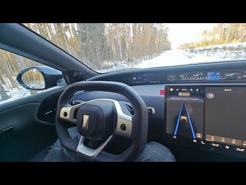 Видео: Адаптивный круиз Avatr 07 в зимнем лесу