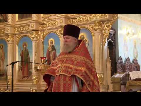 Видео: Протопресвитер Андрей Алешин Грядущий голод как его пережить.