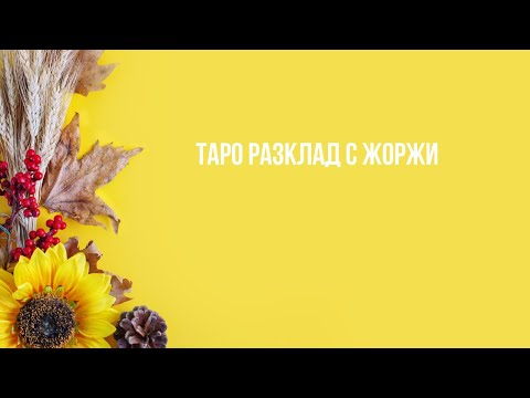 Видео: 🤗Какви ги вършиш в момента?🤗