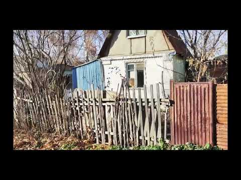Видео: 25 октября 2025 г.