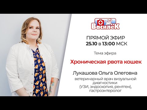 Видео: Хроническая рвота кошек Лукашова О О