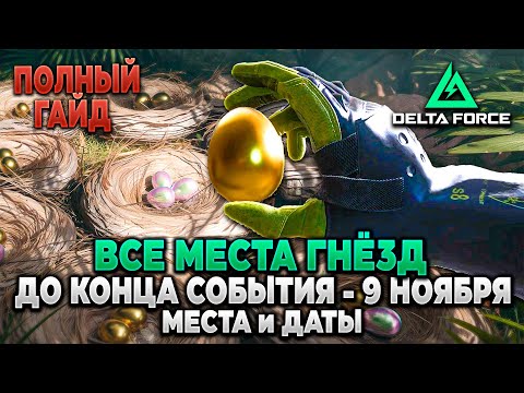 Видео: ❓ ВСЕ МЕСТА ПОЯВЛЕНИЯ ГНЁЗД в СОБЫТИИ до 9 НОЯБРЯ в DELTA FORCE | PingH8